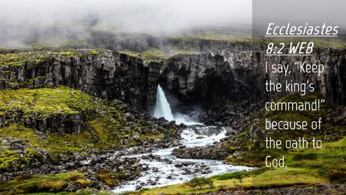 Picture 04 - Ecclesiastes 8:2 WEB Desktop Wallpaper - I say, 