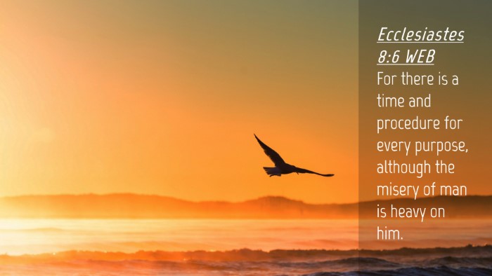 Picture 04 - Ecclesiastes 8:6 WEB Desktop Wallpaper - For there is a time and procedure for every - Desktop Bible Verse Wallpaper