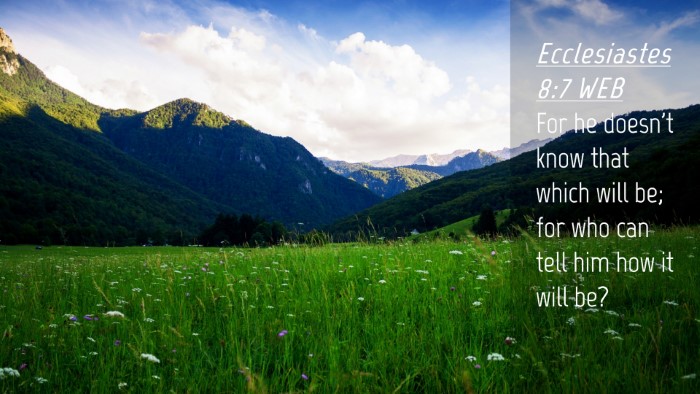 Picture 04 - Ecclesiastes 8:7 WEB Desktop Wallpaper - For he doesn't know that which will be; for who - Desktop Bible Verse Wallpaper