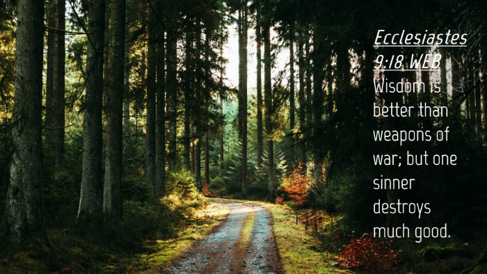 Picture 04 - Ecclesiastes 9:18 WEB Desktop Wallpaper - Wisdom is better than weapons of war; but one - Desktop Bible Verse Wallpaper