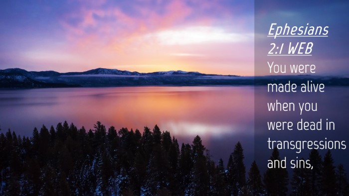 Picture 04 - Ephesians 2:1 WEB Desktop Wallpaper - You were made alive when you were dead in - Desktop Bible Verse Wallpaper