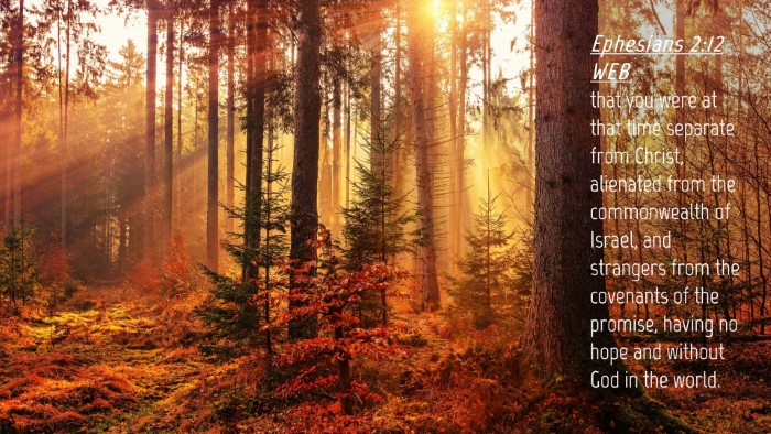 Picture 04 - Ephesians 2:12 WEB Desktop Wallpaper - that you were at that time separate from Christ, - Desktop Bible Verse Wallpaper