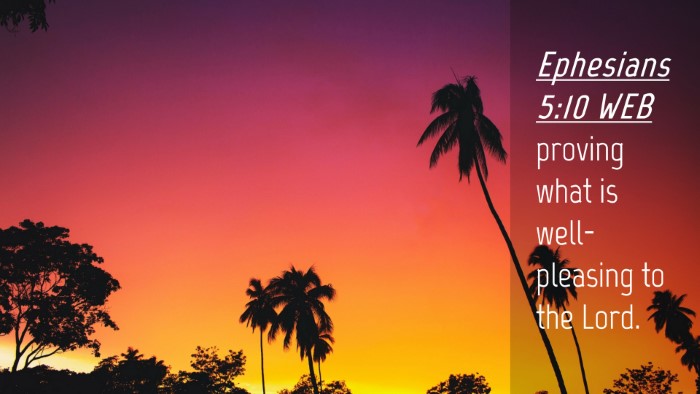 Picture 04 - Ephesians 5:10 WEB Desktop Wallpaper - proving what is well-pleasing to the - Desktop Bible Verse Wallpaper