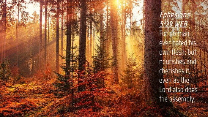 Picture 04 - Ephesians 5:29 WEB Desktop Wallpaper - For no man ever hated his own flesh; but - Desktop Bible Verse Wallpaper