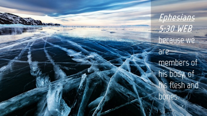 Picture 04 - Ephesians 5:30 WEB Desktop Wallpaper - because we are members of his body, of his flesh - Desktop Bible Verse Wallpaper