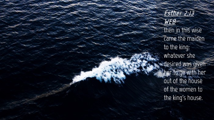 Picture 04 - Esther 2:13 WEB Desktop Wallpaper - then in this wise came the maiden to the king: - Desktop Bible Verse Wallpaper