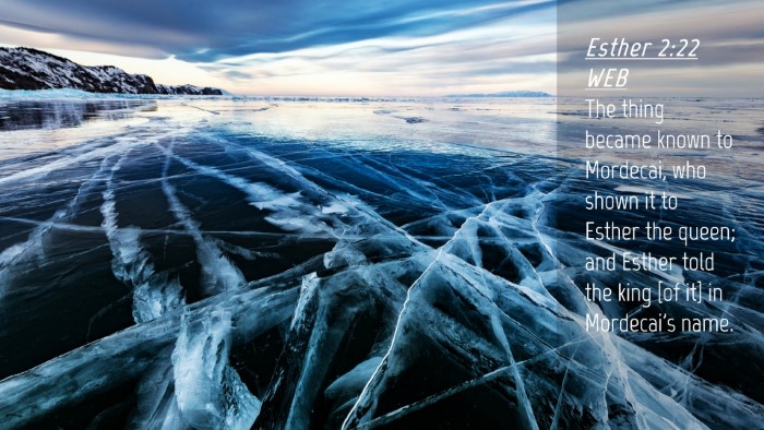 Picture 04 - Esther 2:22 WEB Desktop Wallpaper - The thing became known to Mordecai, who shown it - Desktop Bible Verse Wallpaper