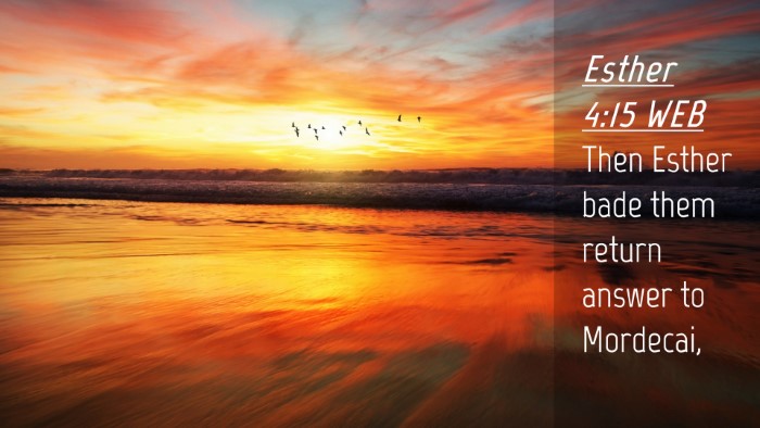 Picture 04 - Esther 4:15 WEB Desktop Wallpaper - Then Esther bade them return answer to - Desktop Bible Verse Wallpaper
