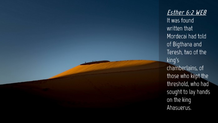 Picture 04 - Esther 6:2 WEB Desktop Wallpaper - It was found written that Mordecai had told of - Desktop Bible Verse Wallpaper