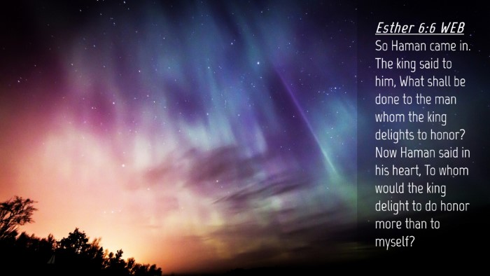 Picture 04 - Esther 6:6 WEB Desktop Wallpaper - So Haman came in. The king said to him, What - Desktop Bible Verse Wallpaper