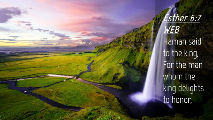 Picture 04 - Esther 6:7 WEB Desktop Wallpaper - Haman said to the king, For the man whom the king - Desktop Bible Verse Wallpaper