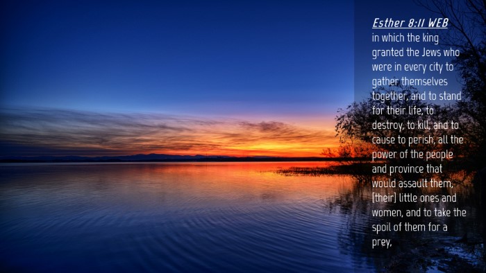 Picture 04 - Esther 8:11 WEB Desktop Wallpaper - in which the king granted the Jews who were in - Desktop Bible Verse Wallpaper