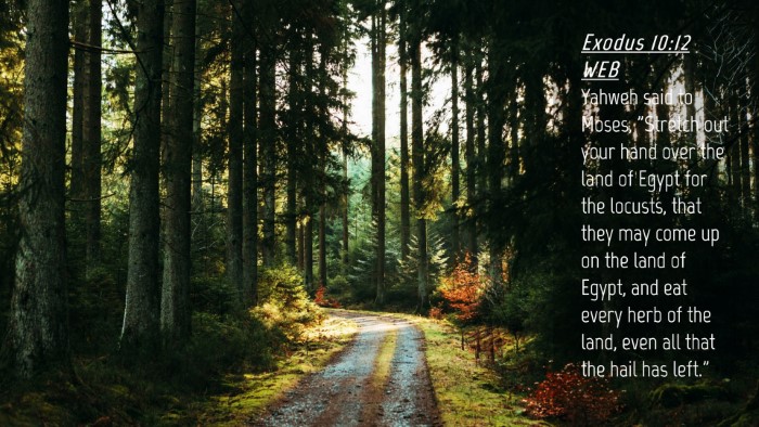 Picture 04 - Exodus 10:12 WEB Desktop Wallpaper - Yahweh said to Moses, 