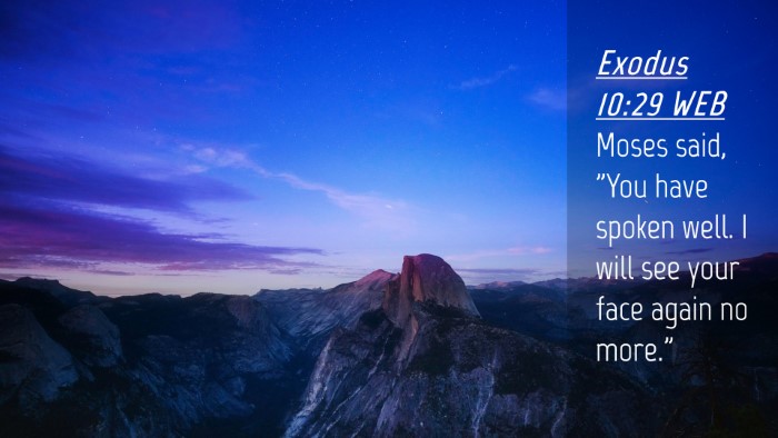 Picture 04 - Exodus 10:29 WEB Desktop Wallpaper - Moses said, 