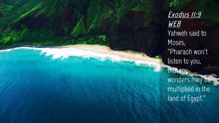 Picture 04 - Exodus 11:9 WEB Desktop Wallpaper - Yahweh said to Moses, 