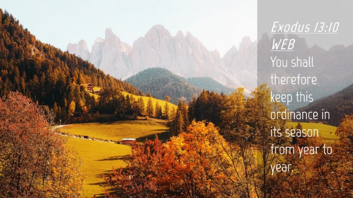 Picture 04 - Exodus 13:10 WEB Desktop Wallpaper - You shall therefore keep this ordinance in its - Desktop Bible Verse Wallpaper