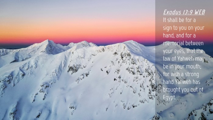 Picture 04 - Exodus 13:9 WEB Desktop Wallpaper - It shall be for a sign to you on your hand, and - Desktop Bible Verse Wallpaper