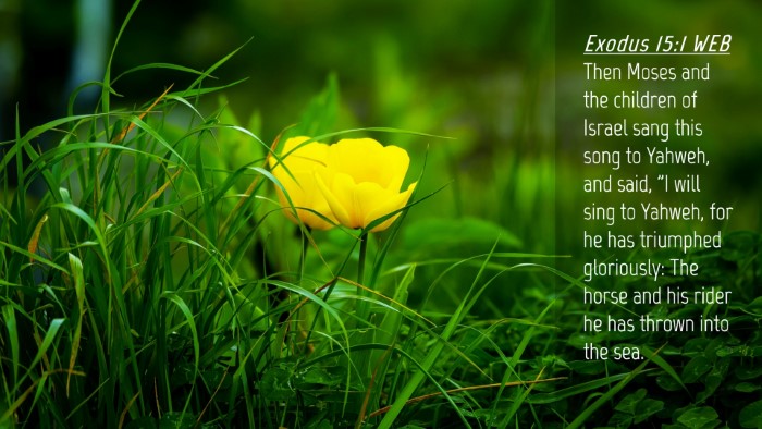 Picture 04 - Exodus 15:1 WEB Desktop Wallpaper - Then Moses and the children of Israel sang this - Desktop Bible Verse Wallpaper