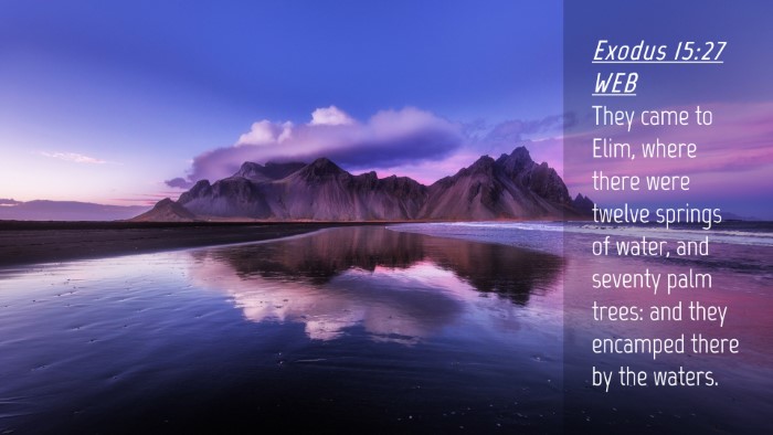 Picture 04 - Exodus 15:27 WEB Desktop Wallpaper - They came to Elim, where there were twelve - Desktop Bible Verse Wallpaper