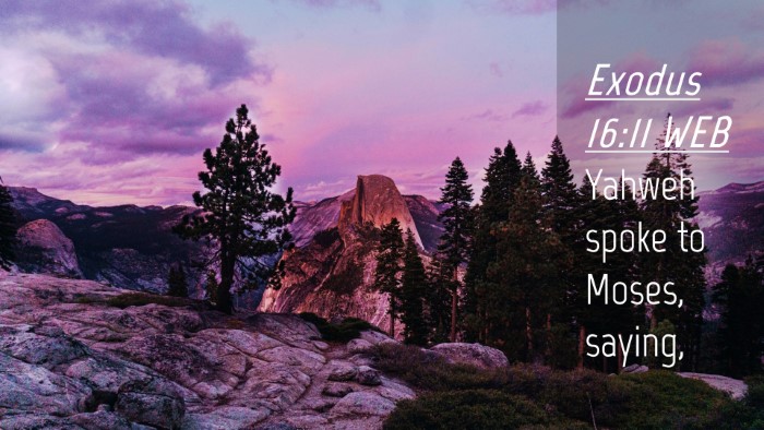 Picture 04 - Exodus 16:11 WEB Desktop Wallpaper - Yahweh spoke to Moses, - Desktop Bible Verse Wallpaper