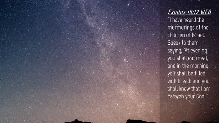 Picture 04 - Exodus 16:12 WEB Desktop Wallpaper - 