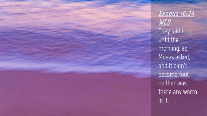 Picture 04 - Exodus 16:24 WEB Desktop Wallpaper - They laid it up until the morning, as Moses - Desktop Bible Verse Wallpaper