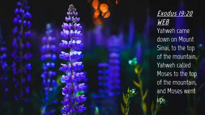 Picture 04 - Exodus 19:20 WEB Desktop Wallpaper - Yahweh came down on Mount Sinai, to the top of - Desktop Bible Verse Wallpaper