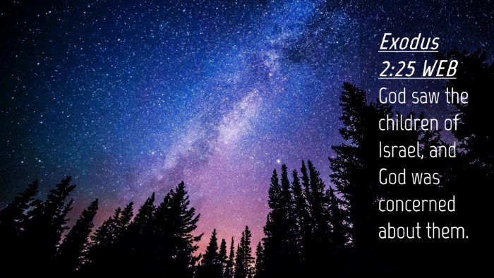 Picture 04 - Exodus 2:25 WEB Desktop Wallpaper - God saw the children of Israel, and God was - Desktop Bible Verse Wallpaper