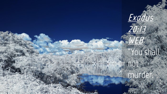 Picture 04 - Exodus 20:13 WEB Desktop Wallpaper - 
