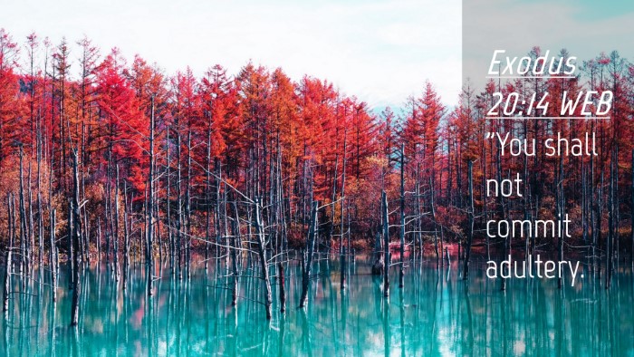 Picture 04 - Exodus 20:14 WEB Desktop Wallpaper - 