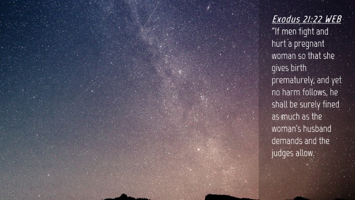 Picture 04 - Exodus 21:22 WEB Desktop Wallpaper - 