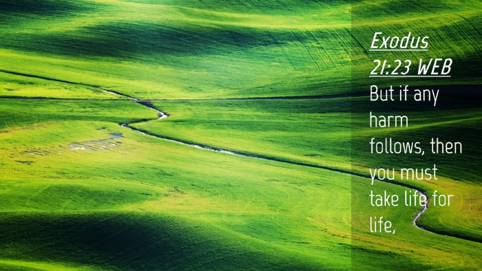 Picture 04 - Exodus 21:23 WEB Desktop Wallpaper - But if any harm follows, then you must take life - Desktop Bible Verse Wallpaper