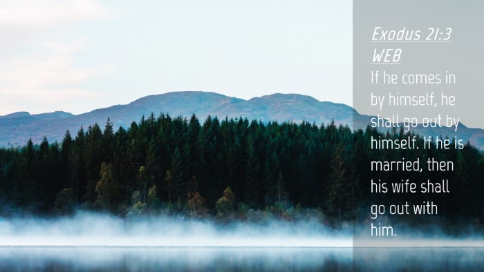 Picture 04 - Exodus 21:3 WEB Desktop Wallpaper - If he comes in by himself, he shall go out by - Desktop Bible Verse Wallpaper