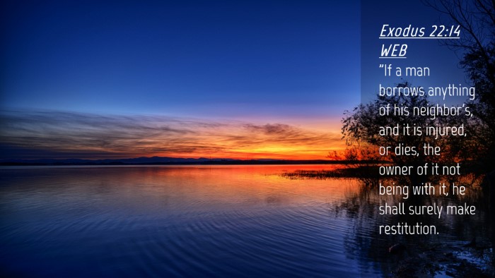 Picture 04 - Exodus 22:14 WEB Desktop Wallpaper - 