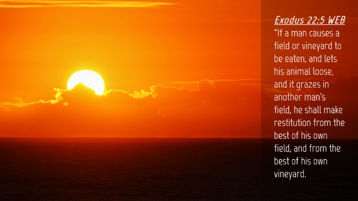 Picture 04 - Exodus 22:5 WEB Desktop Wallpaper - 