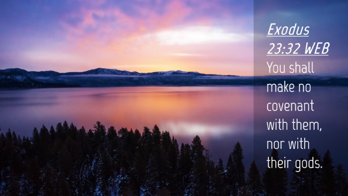 Picture 04 - Exodus 23:32 WEB Desktop Wallpaper - You shall make no covenant with them, nor with - Desktop Bible Verse Wallpaper