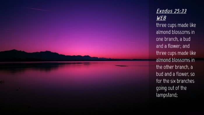Picture 04 - Exodus 25:33 WEB Desktop Wallpaper - three cups made like almond blossoms in one - Desktop Bible Verse Wallpaper