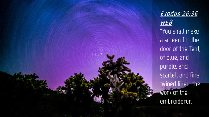 Picture 04 - Exodus 26:36 WEB Desktop Wallpaper - 