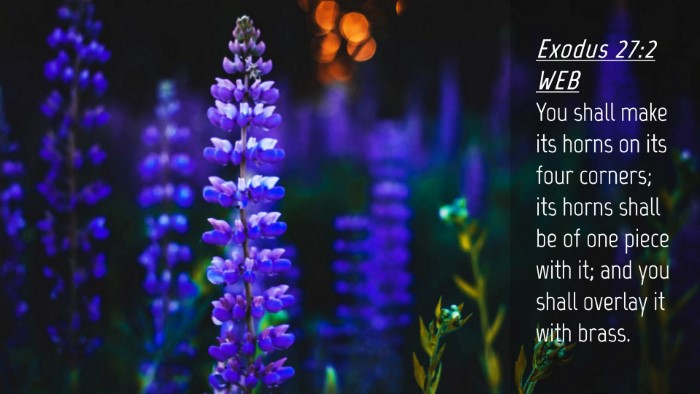 Picture 04 - Exodus 27:2 WEB Desktop Wallpaper - You shall make its horns on its four corners; its - Desktop Bible Verse Wallpaper
