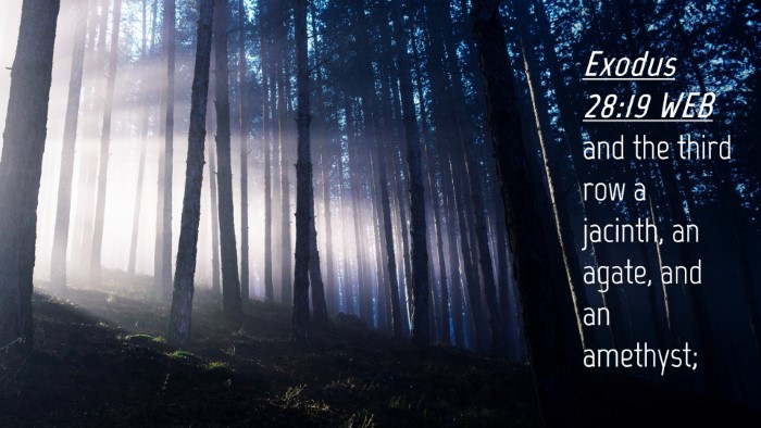 Picture 04 - Exodus 28:19 WEB Desktop Wallpaper - and the third row a jacinth, an agate, and an - Desktop Bible Verse Wallpaper