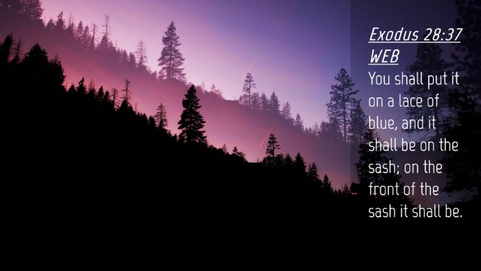 Picture 04 - Exodus 28:37 WEB Desktop Wallpaper - You shall put it on a lace of blue, and it shall - Desktop Bible Verse Wallpaper