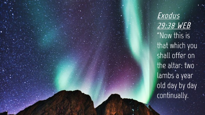 Picture 04 - Exodus 29:38 WEB Desktop Wallpaper - 