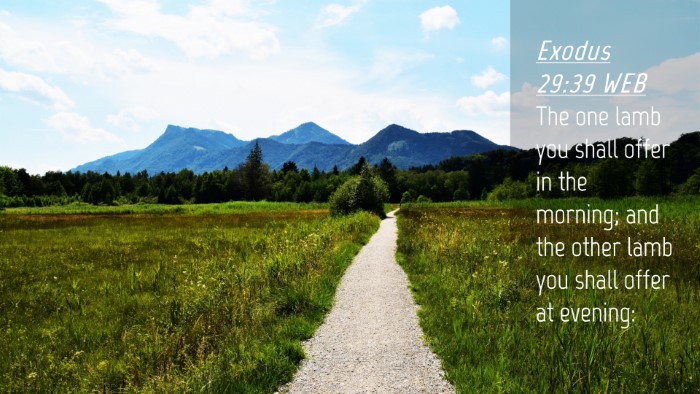 Picture 04 - Exodus 29:39 WEB Desktop Wallpaper - The one lamb you shall offer in the morning; and - Desktop Bible Verse Wallpaper
