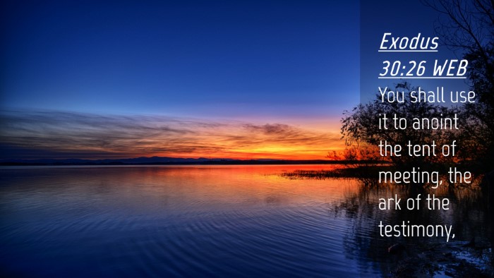 Picture 04 - Exodus 30:26 WEB Desktop Wallpaper - You shall use it to anoint the tent of meeting, - Desktop Bible Verse Wallpaper
