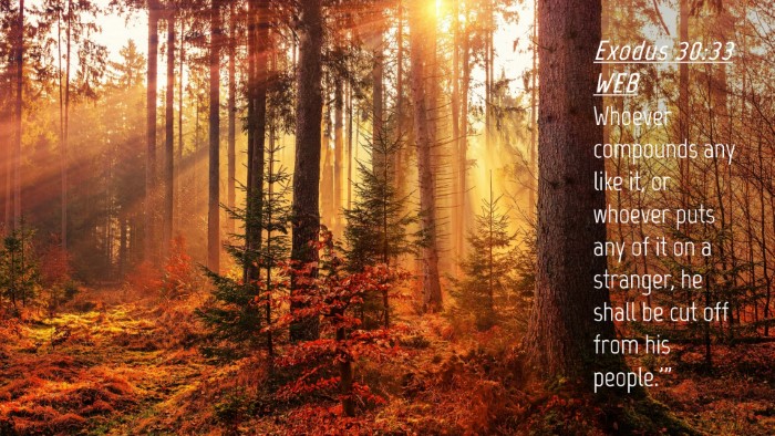Picture 04 - Exodus 30:33 WEB Desktop Wallpaper - Whoever compounds any like it, or whoever puts - Desktop Bible Verse Wallpaper