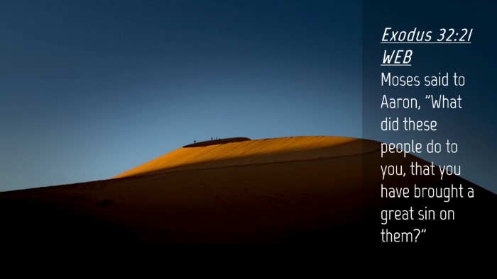 Picture 04 - Exodus 32:21 WEB Desktop Wallpaper - Moses said to Aaron, 
