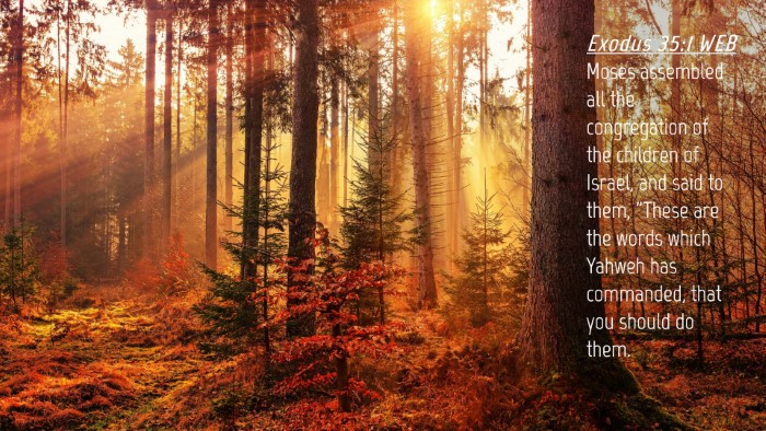 Picture 04 - Exodus 35:1 WEB Desktop Wallpaper - Moses assembled all the congregation of the - Desktop Bible Verse Wallpaper