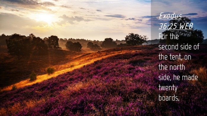 Picture 04 - Exodus 36:25 WEB Desktop Wallpaper - For the second side of the tent, on the north - Desktop Bible Verse Wallpaper