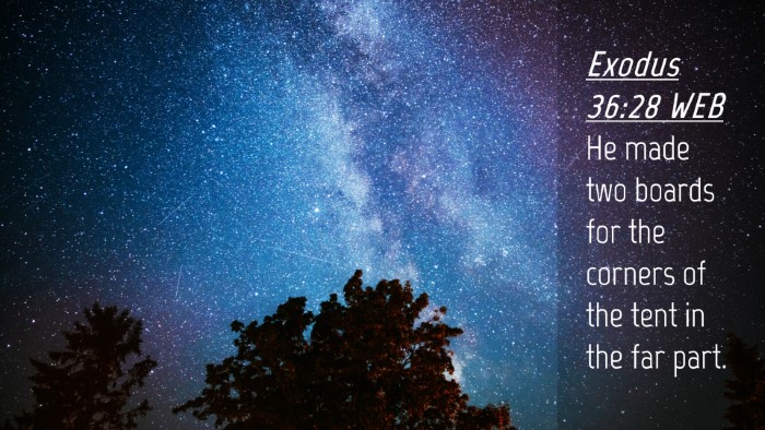 Picture 04 - Exodus 36:28 WEB Desktop Wallpaper - He made two boards for the corners of the tent in - Desktop Bible Verse Wallpaper