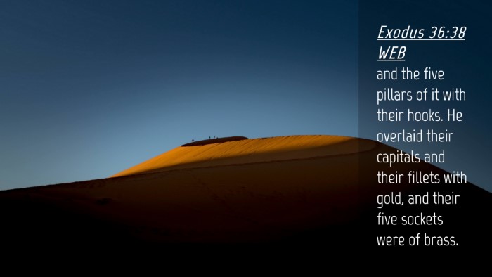 Picture 04 - Exodus 36:38 WEB Desktop Wallpaper - and the five pillars of it with their hooks. He - Desktop Bible Verse Wallpaper
